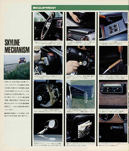 Skyline C110
