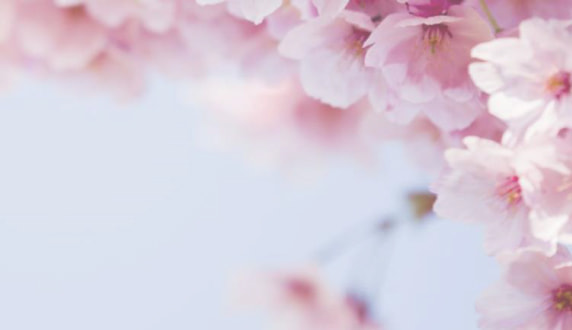 Global Corporate Sales Newsletter