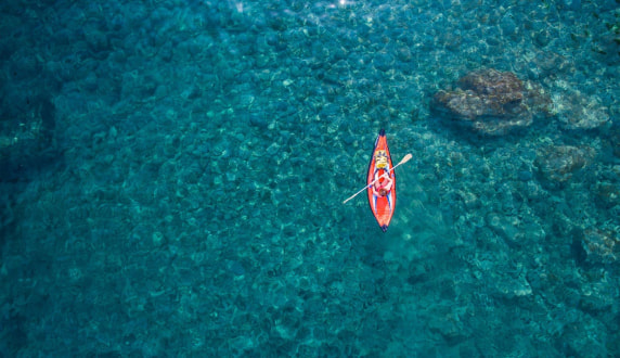 Global Corporate Sales Newsletter