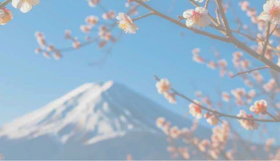 Global Corporate Sales Newsletter
