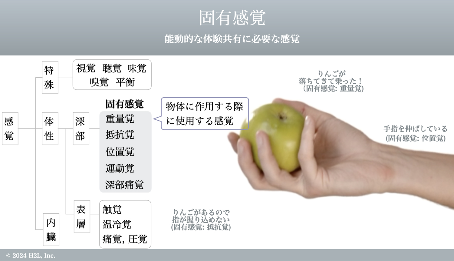 体験の共有には固有感覚が重要