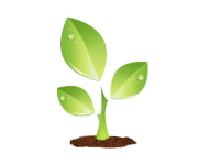 Keep growth in Nissan (KG-N)